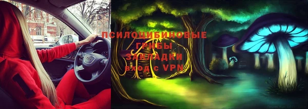 эйфоретик Алексеевка