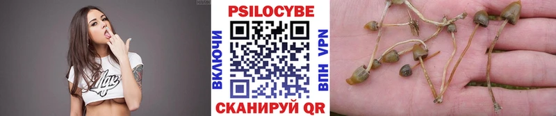 Галлюциногенные грибы Magic Shrooms  магазин  наркотиков  МЕГА как войти  Черноголовка 